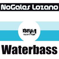 Nogales Lozano - Waterbass