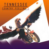 Tennessee - Country Feeling, Vol.1