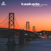Kaskade - I Feel Like