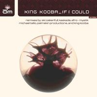 King Kooba - If I Could