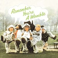 The Wombles - Remember You're A Womble