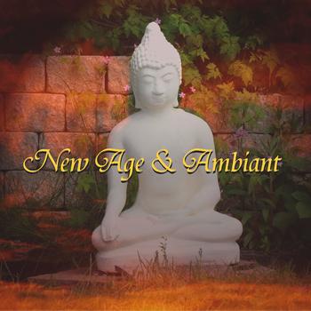 Various Artists - New Age & Ambient Songs