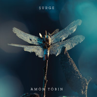 Amon Tobin - Surge