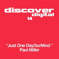 Paul Miller - Just One Day / 3UrMind