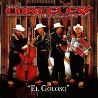 Los Corceles De Durango - El Goloso
