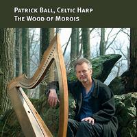 Patrick Ball - The Wood of Morois (Celtic Harp)