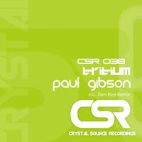 Paul Gibson - Tritium