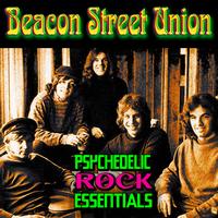 Beacon Street Union - Psychedelic Rock Essentials