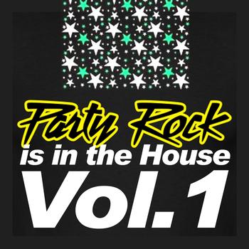 Various Artists - Party Rock Is In the House, Vol.1