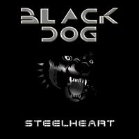 STEELHEART - BLACK DOG