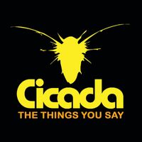 Cicada - The Things You Say
