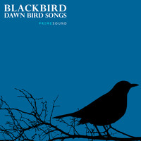 Prime Sound - Blackbird Dawn Bird Songs