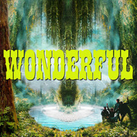 Wonderful - Wake Up To Dreamland