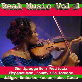Various Artists - Real Music Vol 1