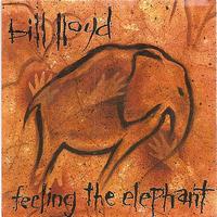Bill Lloyd - Feeling The Elephant