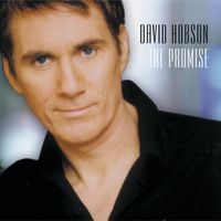 David Hobson - The Promise