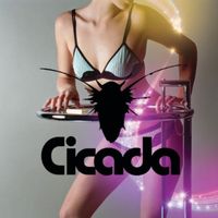 Cicada - Cicada