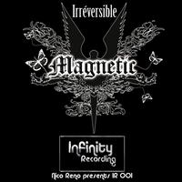 Magnetic - Ir001 irreversible