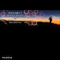 Soulmelt - World of Wonder
