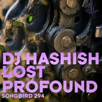 DJ Hashish - Lost / Profound
