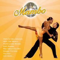 The Ray Hamilton Ballroom Orchestra - It Takes Two To Mambo