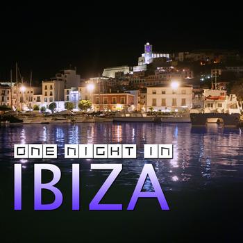 Various Artists - One Night In Ibiza