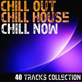 Various Artists - Chill Out Chill House Chill Now ! 40 Tracks Collection