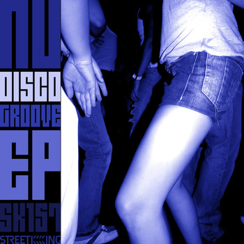 Various Artists - Nu Disco Groove