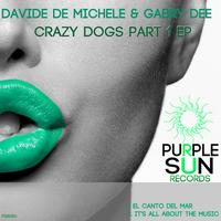Davide De Michele & Gabry Dee - Crazy Dogs Part 1
