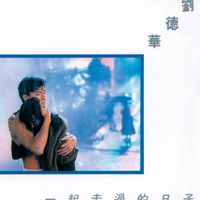 劉德華 - 一起走過的日子