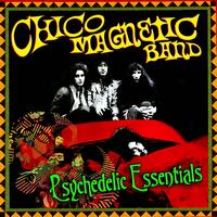 Chico Magnetic Band - Psychedelic Essentials