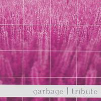 Garbage Tribute Band - A Tribute To Garbage