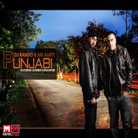 DJ Rando & Mr Amrit - Punjabi