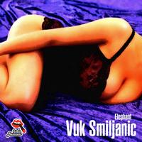 Vuk Smiljanic - Elephant