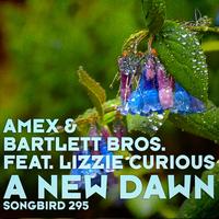 Amex and Bartlett Bros. featuring Lizzie Curious - A New Dawn