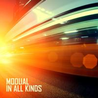 Modual - In All Kinds