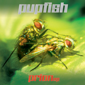 Pupfish - Prion EP