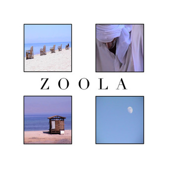 Various Artists - Zoola (Compiled by DJ Choopie)