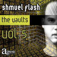Shmuel Flash - The Vaults Vol. 5