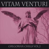 Vitam Venturi - Gregorian Chills, Vol. 2