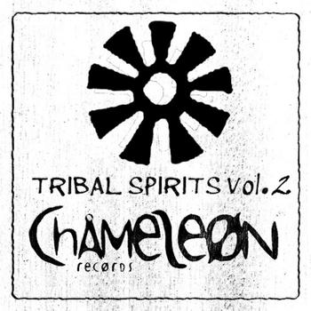 Various Artists - Tribal Spirits, Vol. 2