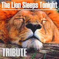 U.S.A. Classics - The Lion Sleeps Tonight (Tokens Salute)