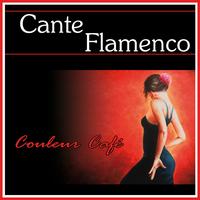 Yeye De Cadiz - Couleur Café Cante Flamenco Desde Cadiz