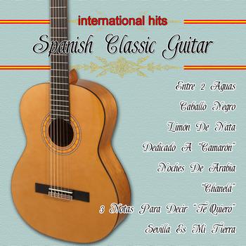 Various flamenco guitarrist - 20 Spanish Guitar Classic: Greatest Hits
