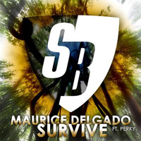 Maurice Delgado feat. Perky - Survive
