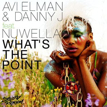 Avi Elman & Danny J - What's the Point (feat. Nuwella)