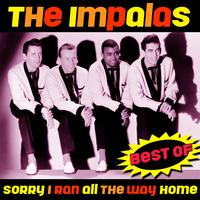 The Impalas - Sorry (I Ran All The Way Home) - Best Of