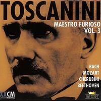 Arturo Toscanini - Arturo Toscanini Vol. 1