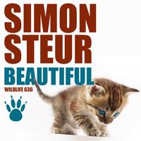 Simon Steur - Beautiful