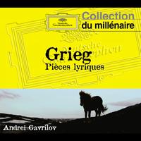 Andrei Gavrilov - Grieg: Pièces lyriques